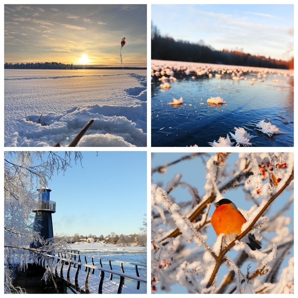 Итоги творческого конкурса Карельской организации Профсоюза